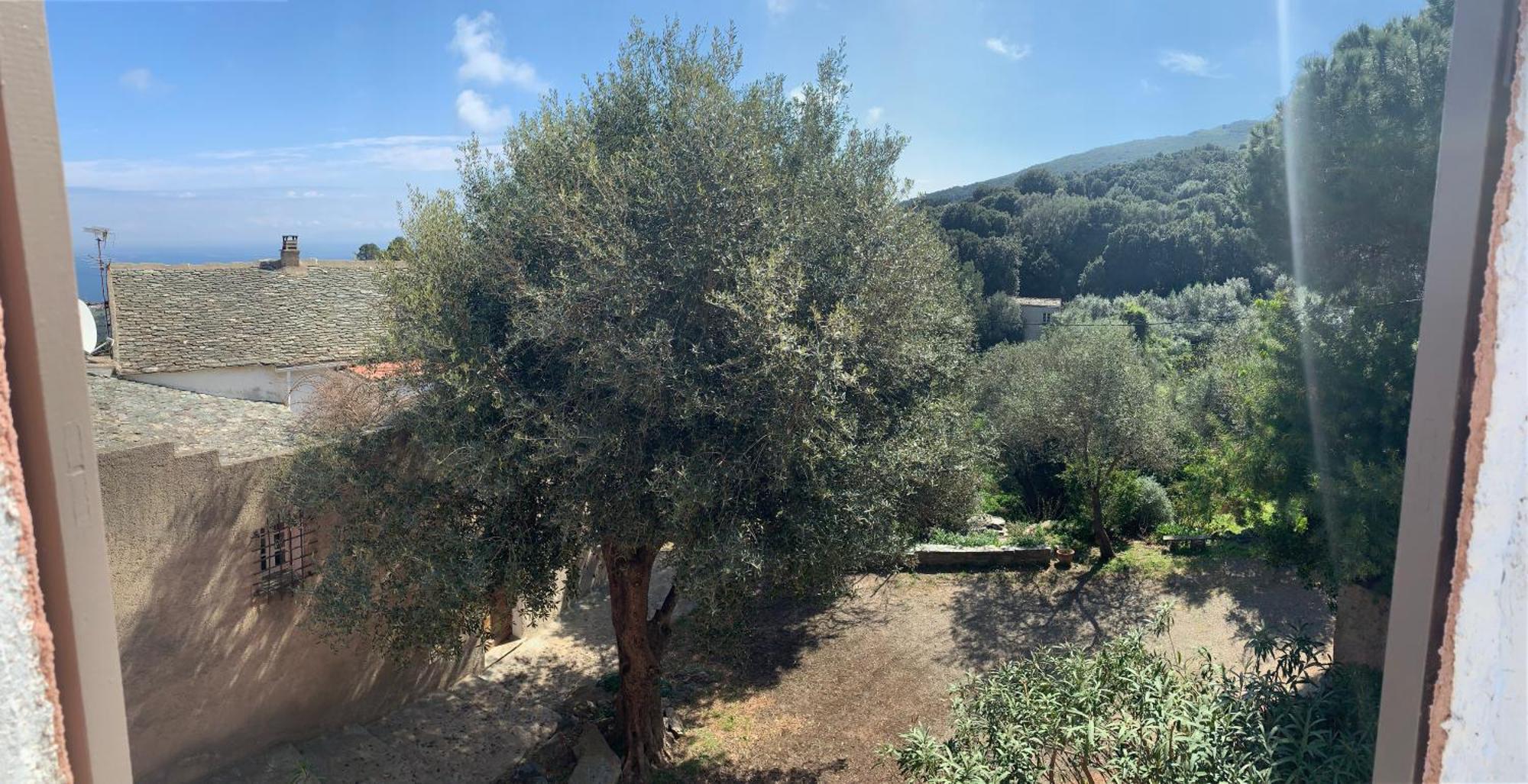 La Charmante **** Maison Cap Corse, Apartamento