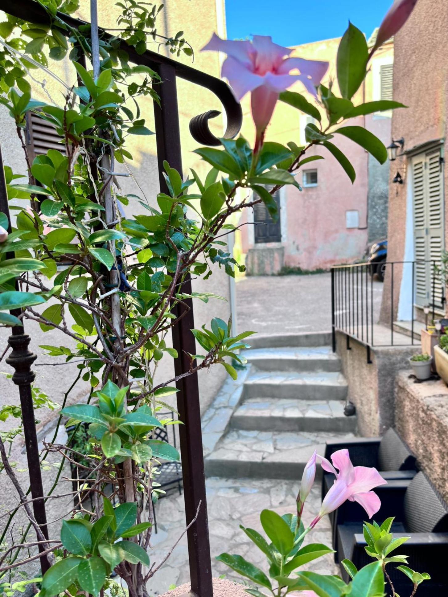 La Charmante **** Maison Cap Corse, *