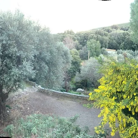 La Charmante **** Maison Cap Corse, Tomino Buitenkant foto