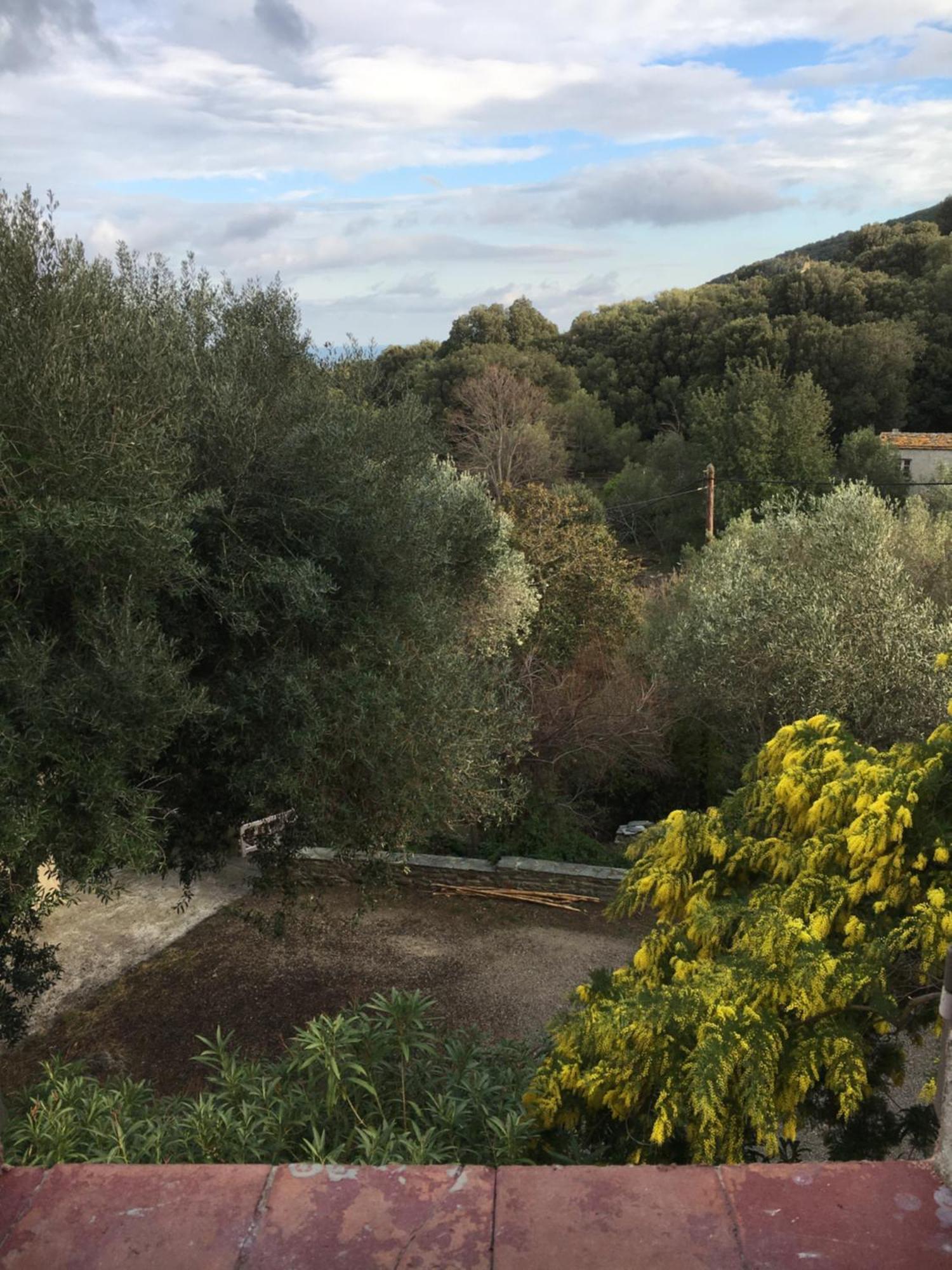 La Charmante **** Maison Cap Corse, Tomino