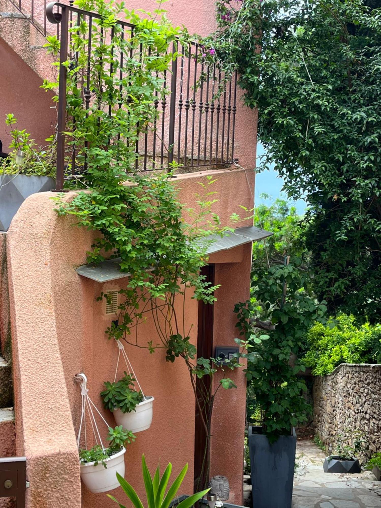 La Charmante **** Maison Cap Corse, Tomino
