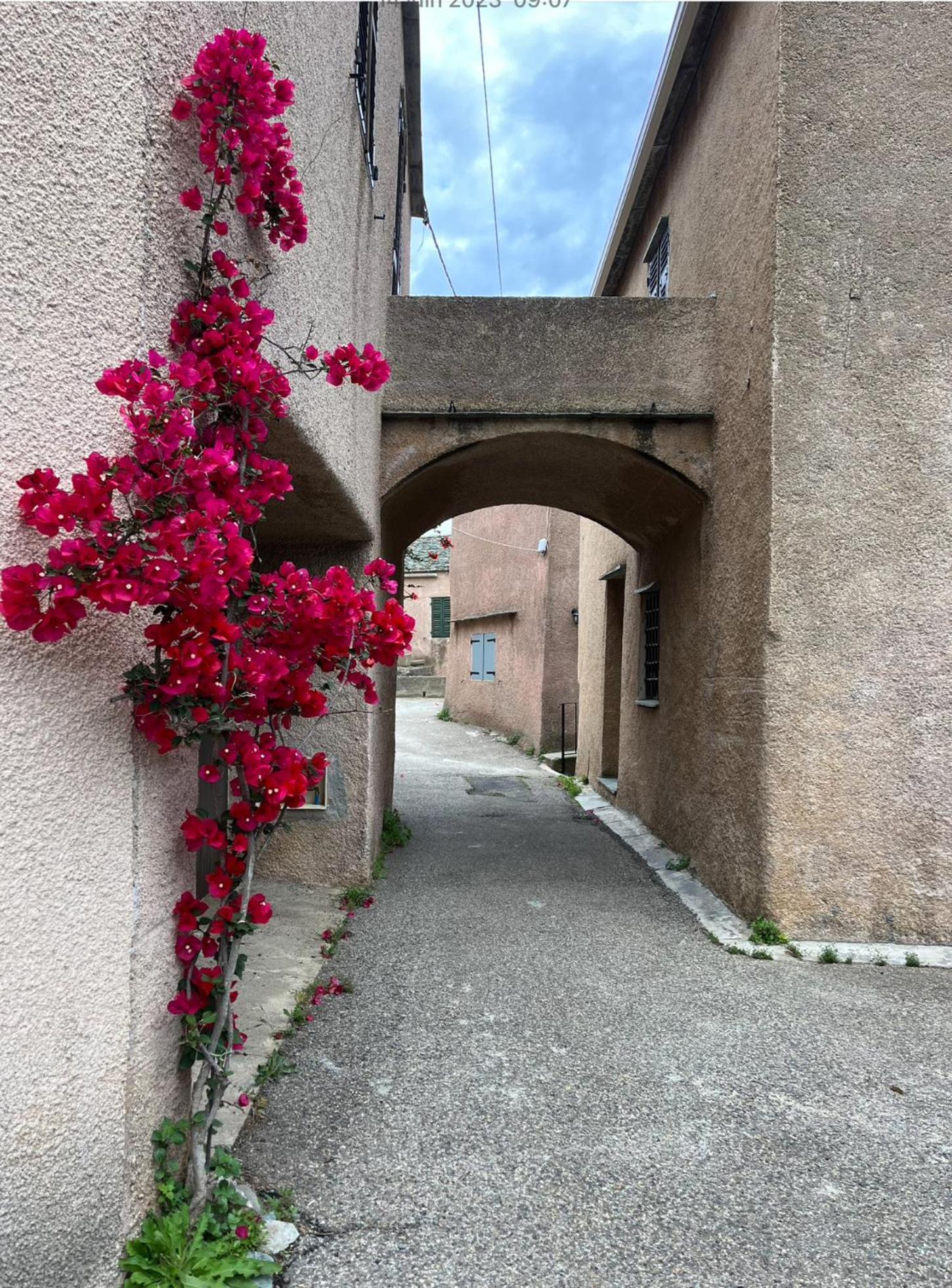 La Charmante **** Maison Cap Corse, * Tomino
