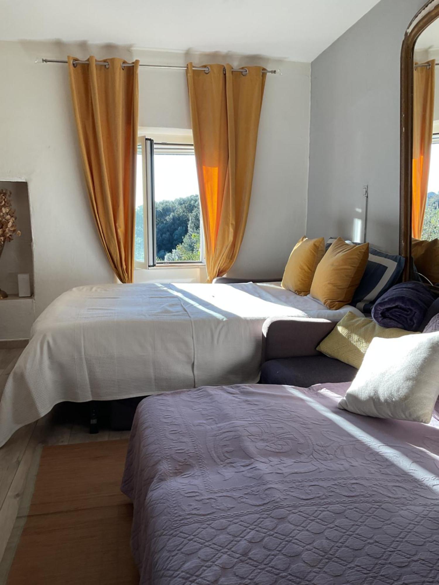La Charmante **** Maison Cap Corse, Apartment Tomino